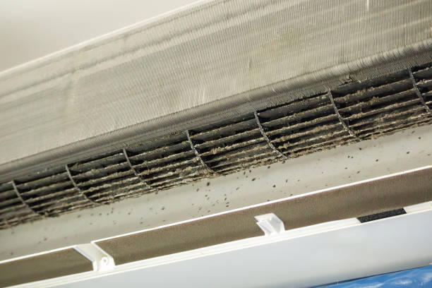 Best Best Air Duct Cleaning Company  in Sitka, AK